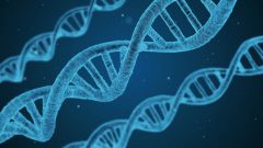 ADN, ciência, investigação