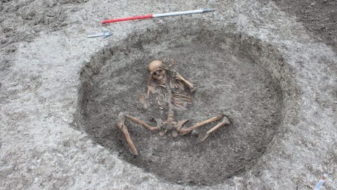 arqueólogos esqueleto humano software